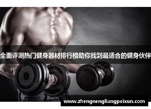 全面评测热门健身器材排行榜助你找到最适合的健身伙伴