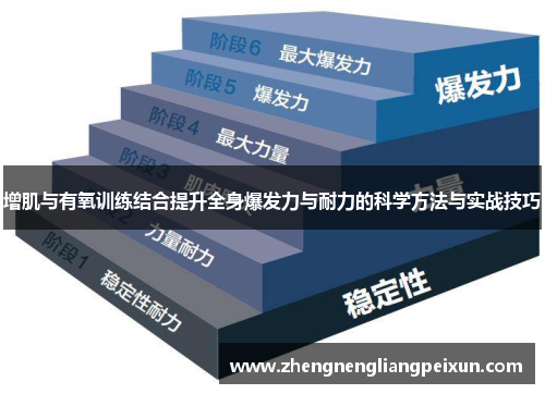 增肌与有氧训练结合提升全身爆发力与耐力的科学方法与实战技巧