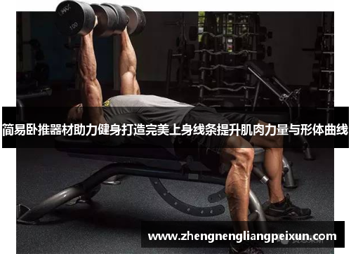 简易卧推器材助力健身打造完美上身线条提升肌肉力量与形体曲线