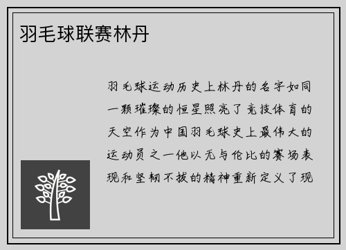 羽毛球联赛林丹